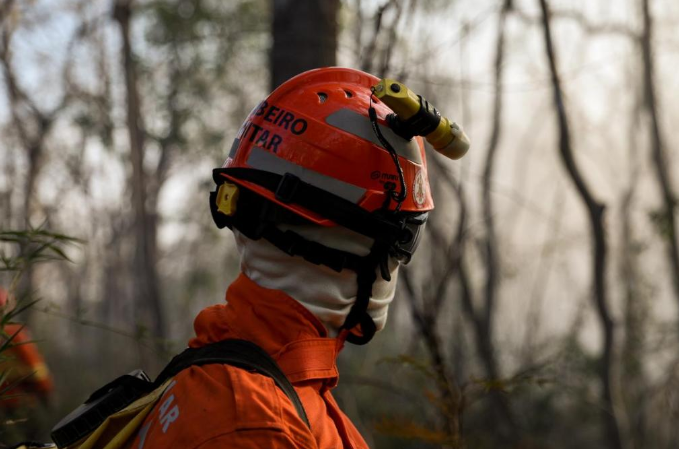 Imagem de compartilhamento para o artigo Incêndios devastam região de Paraíso das Águas e causam mortes de gado da MS Todo dia